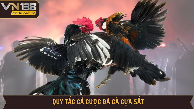 Đá Gà Cựa Sắt - Cuộc Chiến Đầy Nảy Lửa Tại VN138 3 Chia sẻ quy luật cực kỳ chi tiết cho người mới