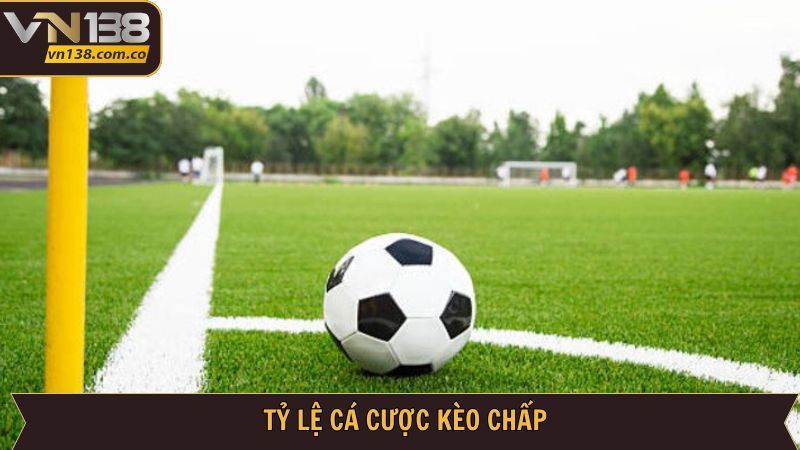 Kèo Chấp - Bí Quyết Đọc Kèo Trúng Cực Lớn Từ VN138 3 Tổng hợp các tỷ lệ trong kèo chấp của nhà cái